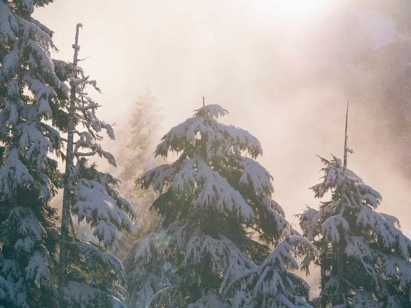 Air Compressor 50L - Thumbnail 3