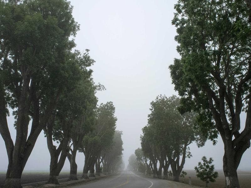 LEGO Star Wars Millennium Falcon - Thumbnail 2