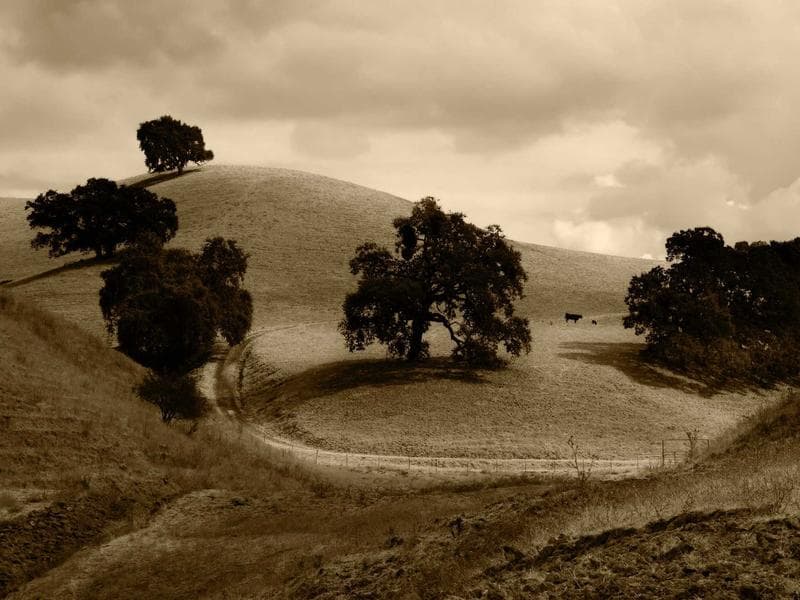 PlayStation 5 Digital Edition