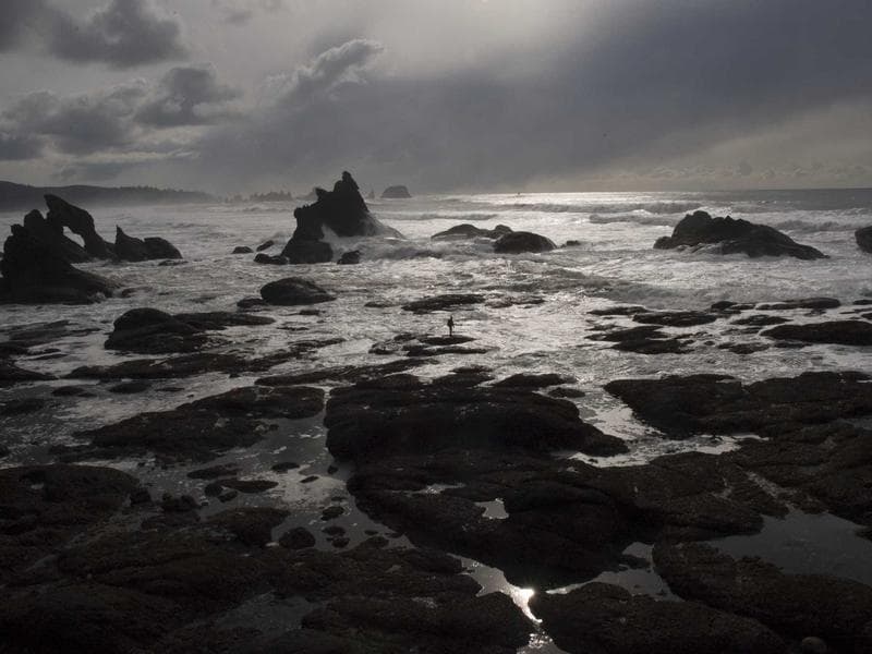 PlayStation 5 Digital Edition - Thumbnail 2