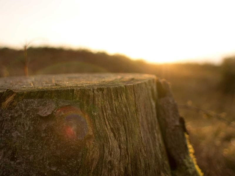 PlayStation 5 Digital Edition - Thumbnail 3