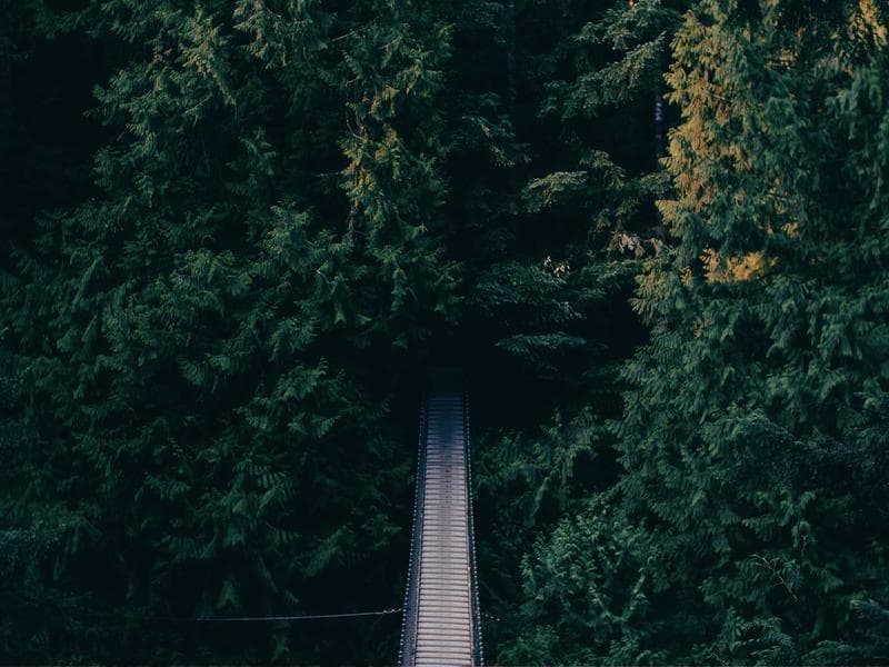 Board Game Catan Expansion