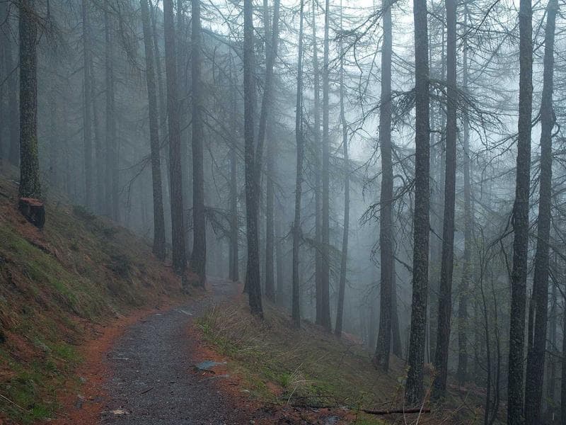 Barbie Dreamhouse Dollhouse - Image 1