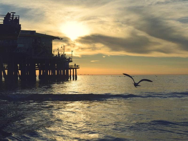 Hot Wheels Track Set Mega