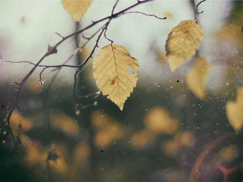 Nintendo Switch Games Bundle - Thumbnail 3