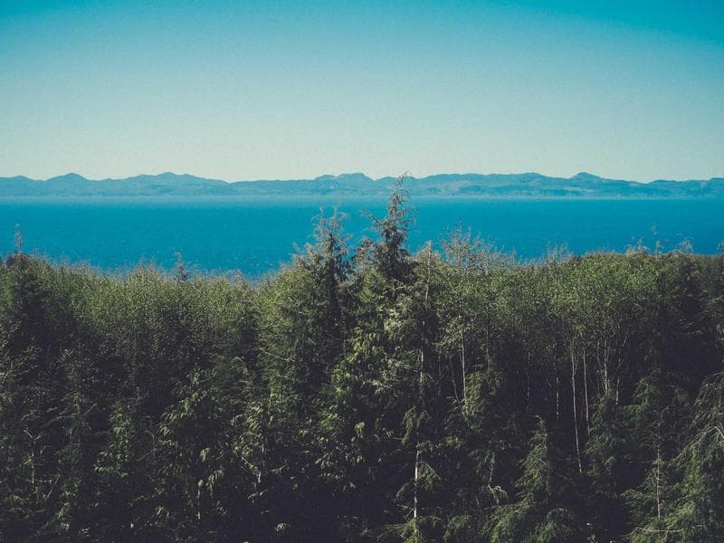 GoPro Hero 11 Action Camera - Thumbnail 2