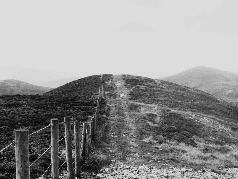 BMW 320d 2020 Diesel