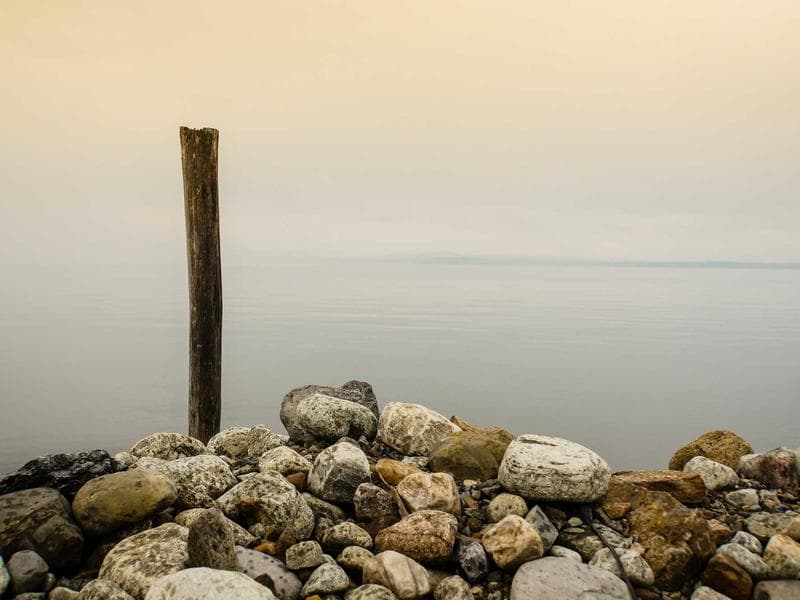 Mercedes-Benz C-Class 2020