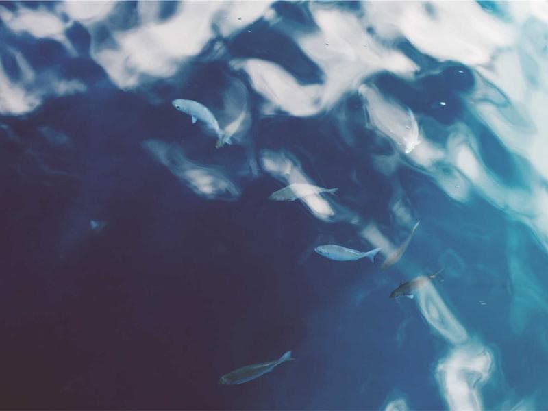 Toyota Corolla Hybrid 2021 - Thumbnail 3