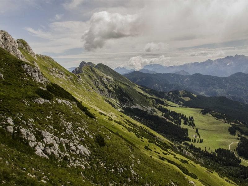 Honda Civic Type R 2020 - Thumbnail 2